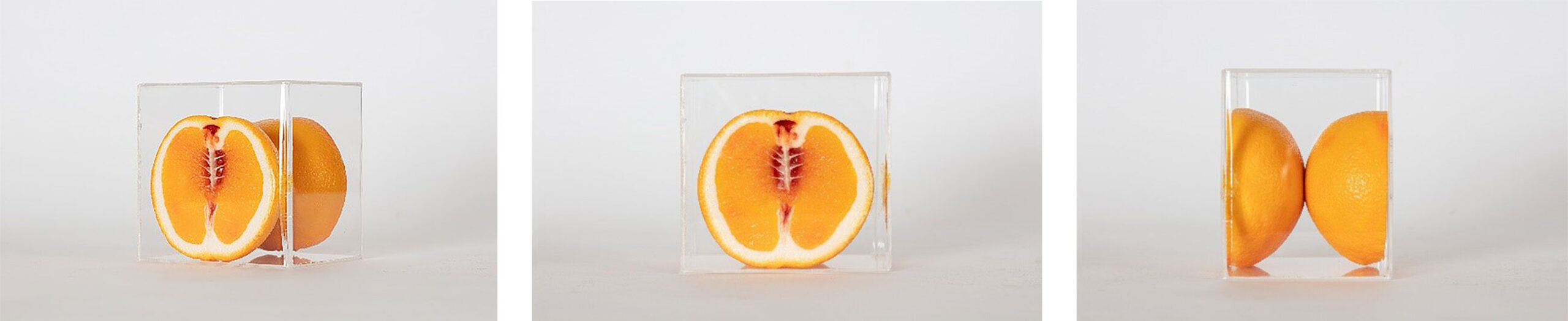 laranja serie hybris monica piloni arte calmon stock 04a scaled