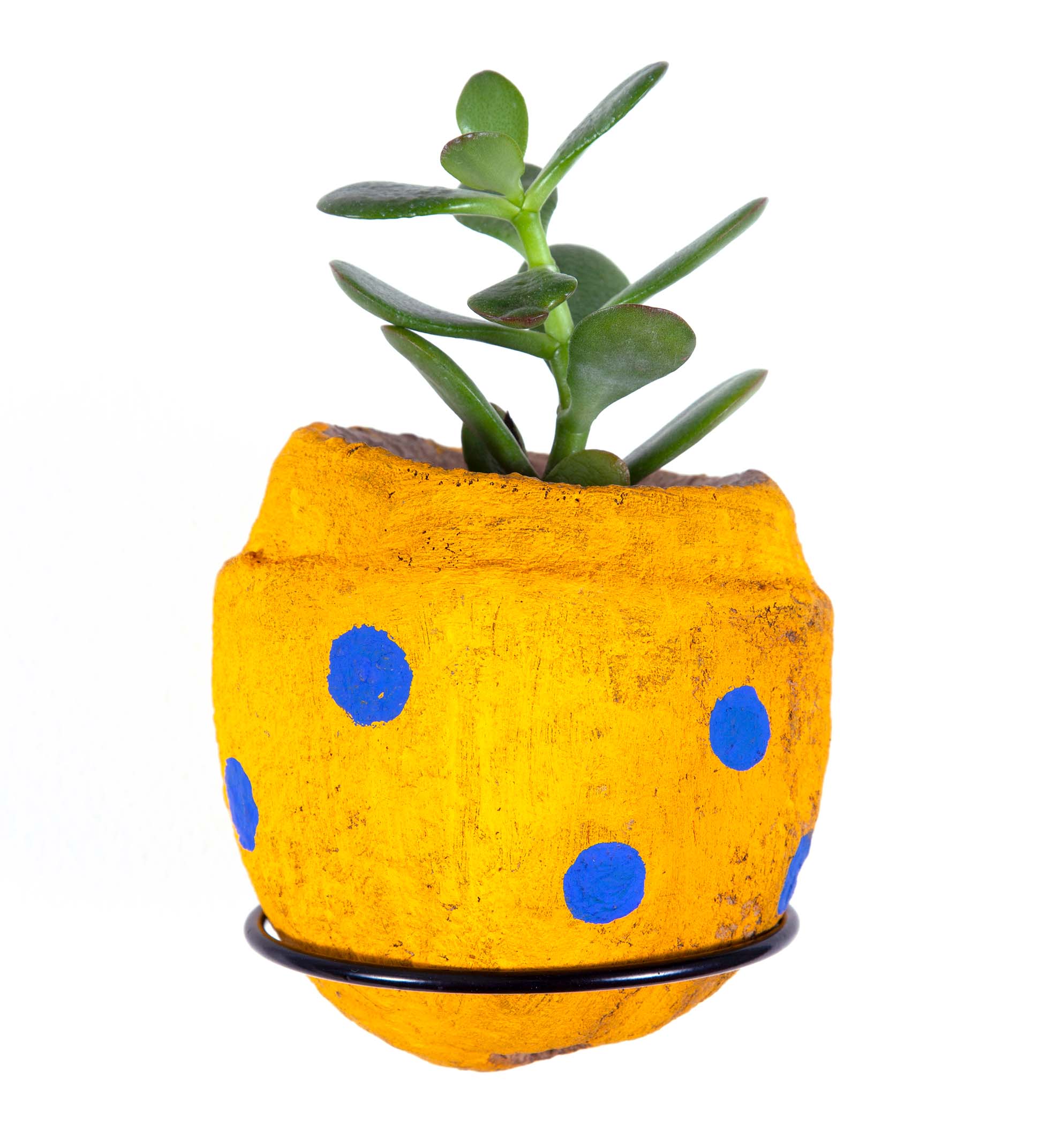 lonke erlu kandu puri arte calmon stock 01a