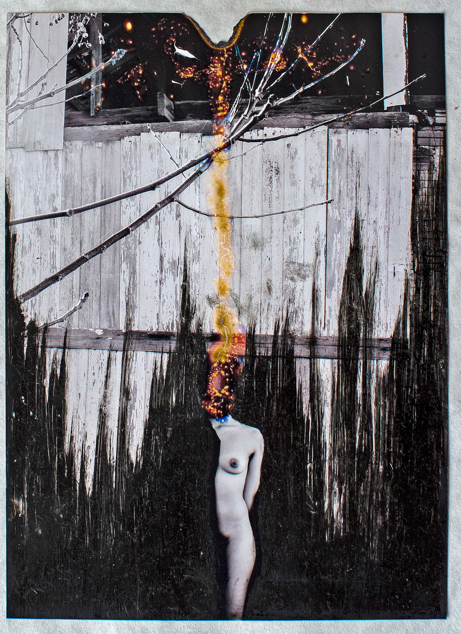sem titulo 01 virginia di lauro arte calmon stock 01a