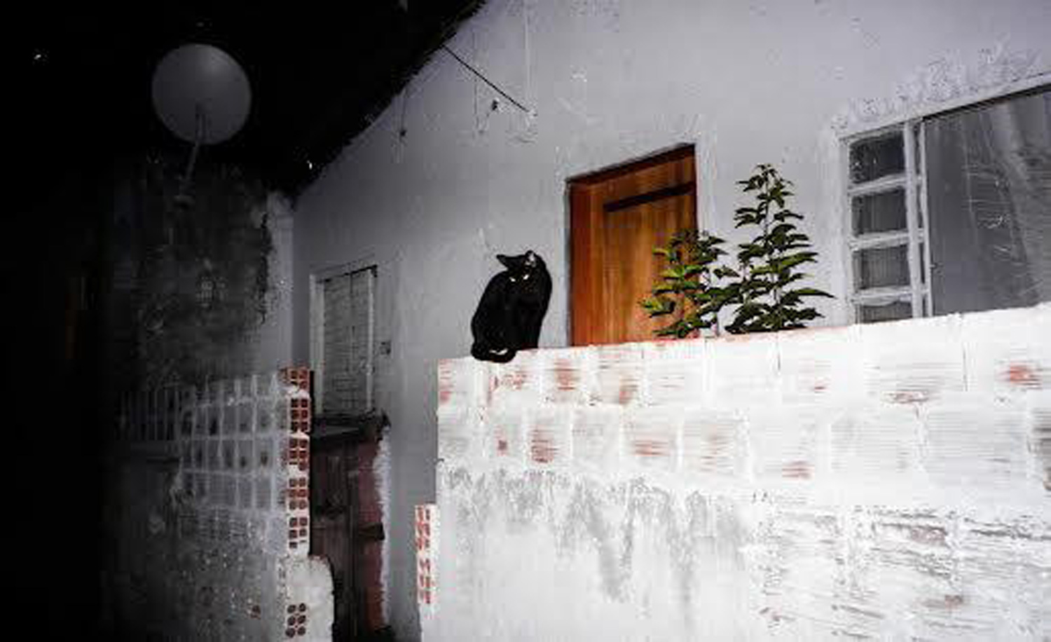 sem titulo 111 erick peres arte calmon stock 02a